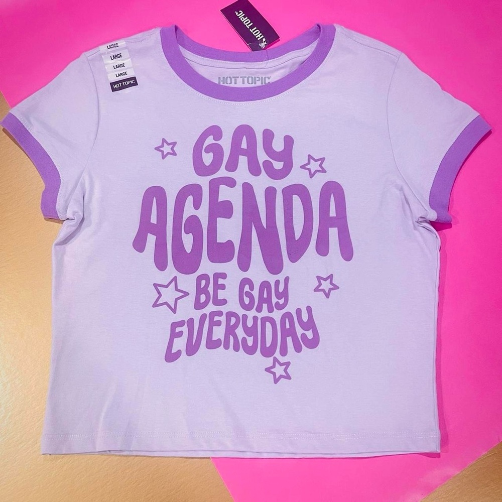 HOT TOPIC Gay Agenda Be Gay Everyday Purple Pride Baby Tee Large